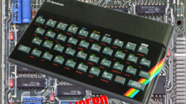 FVB2009_poster896x1280